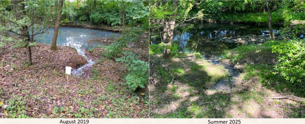 BOS 200® Innovative Bioremediation Approach Implemented in Complex Karst Geology to Treat LNAPL Releasing from Seeps to a Creek and Residential Properties